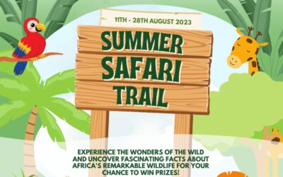2023 Summer Safari Interactive Trail
