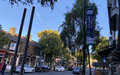 2022 Discover Ilkley Lamp post Banners